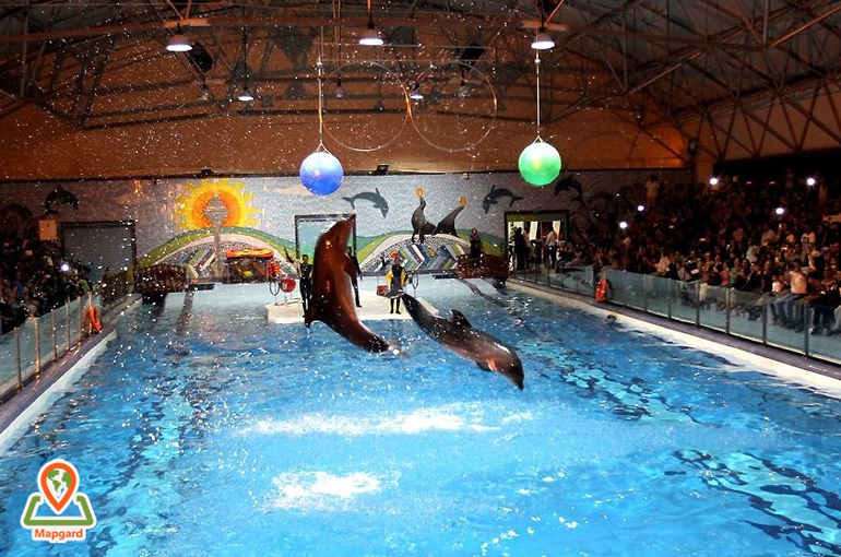 پارک دلفین های مجموعه برج میلاد