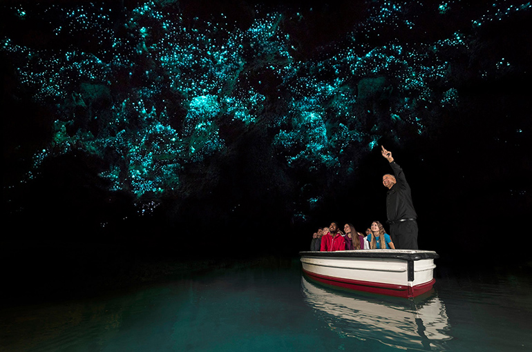 4) غارهای کرم شب تاب وایتومو (Waitomo Glowworm Caves) | نیوزلند (New Zealand)