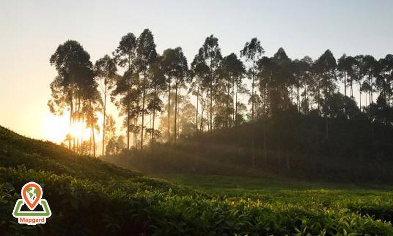 جنوب غربی رواندو (Rwanda)