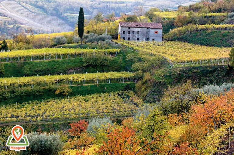سوآو (Soave)، ایتالیا (Italy)