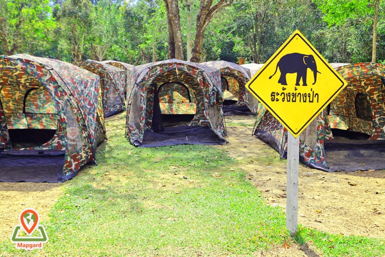 کمپ زدن در پارک ملی خائو یای (Khao Yai)